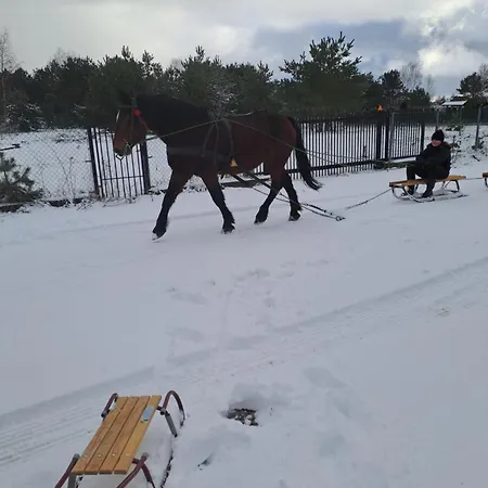 Nadmorski Dom Pod Lasem Nyaraló Mieroszyno